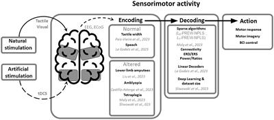 Editorial: Sensorimotor decoding: characterization and modeling for rehabilitation and assistive technologies